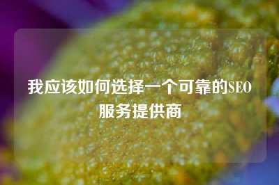 我应该如何选择一个可靠的SEO服务提供商