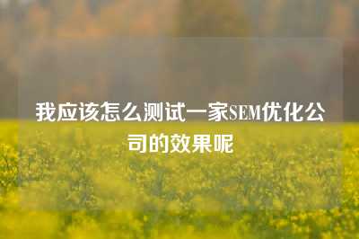 我应该怎么测试一家SEM优化公司的效果呢