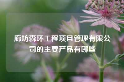 廊坊森环工程项目管理有限公司的主要产品有哪些