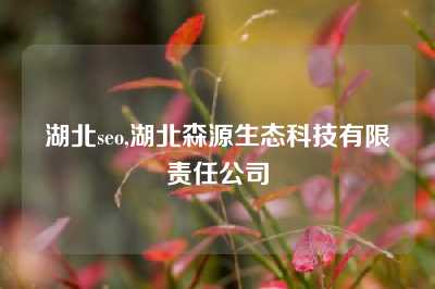 湖北seo,湖北森源生态科技有限责任公司