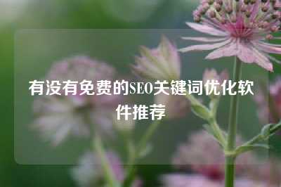 有没有免费的SEO关键词优化软件推荐