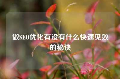 做SEO优化有没有什么快速见效的秘诀