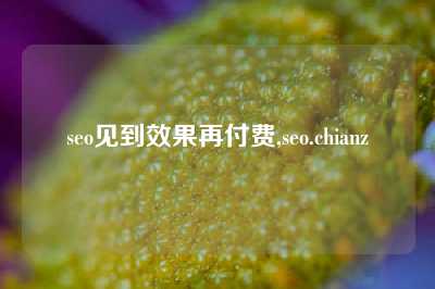 seo见到效果再付费,seo.chianz