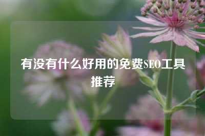 有没有什么好用的免费SEO工具推荐