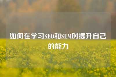 如何在学习SEO和SEM时提升自己的能力