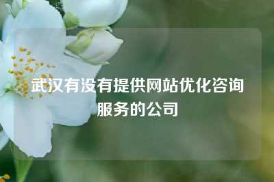 武汉有没有提供网站优化咨询服务的公司