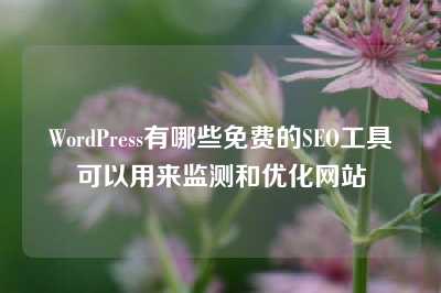 WordPress有哪些免费的SEO工具可以用来监测和优化网站