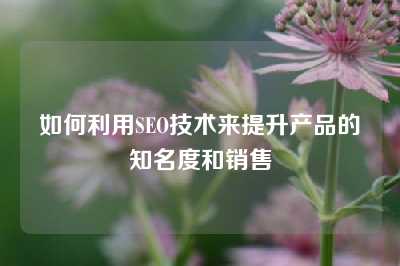 如何利用SEO技术来提升产品的知名度和销售