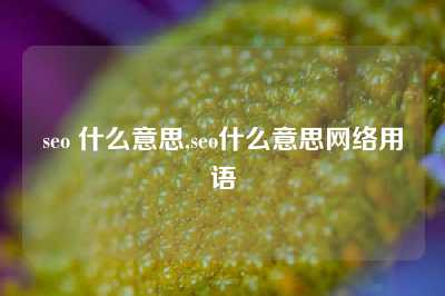 seo 什么意思,seo什么意思网络用语