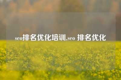 seo排名优化培训,seo 排名优化