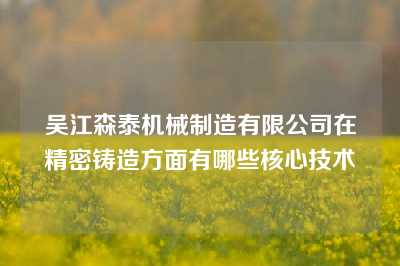 吴江森泰机械制造有限公司在精密铸造方面有哪些核心技术