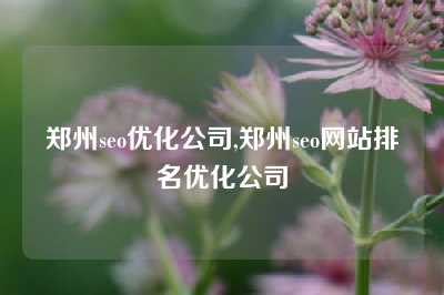 郑州seo优化公司,郑州seo网站排名优化公司