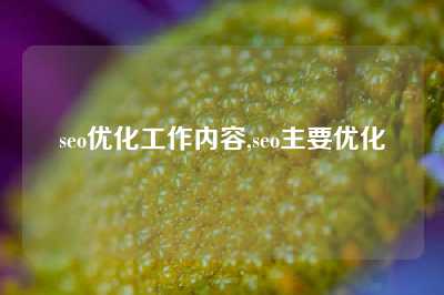 seo优化工作内容,seo主要优化