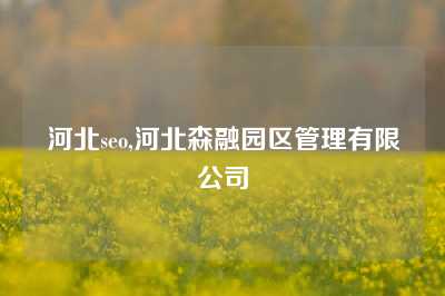 河北seo,河北森融园区管理有限公司