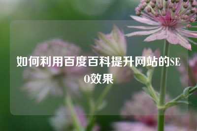 如何利用百度百科提升网站的SEO效果