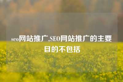 seo网站推广,SEO网站推广的主要目的不包括