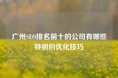 广州SEO排名前十的公司有哪些特别的优化技巧