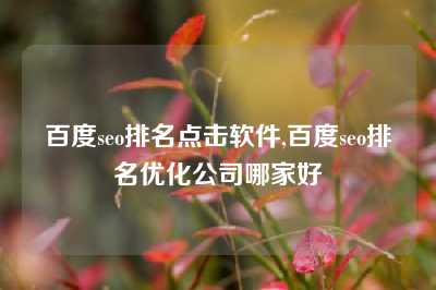 百度seo排名点击软件,百度seo排名优化公司哪家好