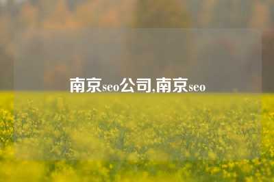 南京seo公司,南京seo