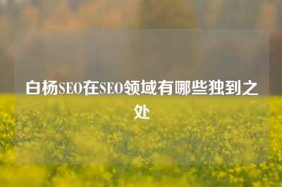 白杨SEO在SEO领域有哪些独到之处