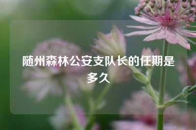 随州森林公安支队长的任期是多久