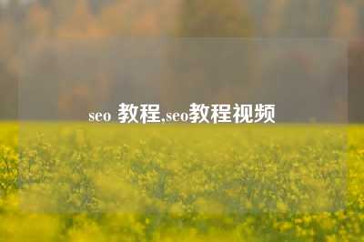 seo 教程,seo教程视频