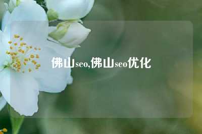 佛山seo,佛山seo优化