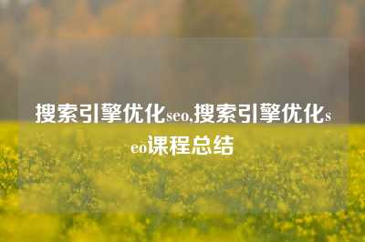 搜索引擎优化seo,搜索引擎优化seo课程总结