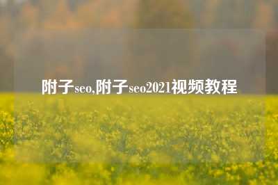 附子seo,附子seo2021视频教程