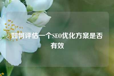 如何评估一个SEO优化方案是否有效