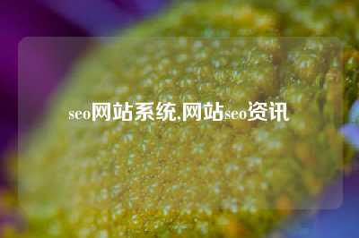 seo网站系统,网站seo资讯