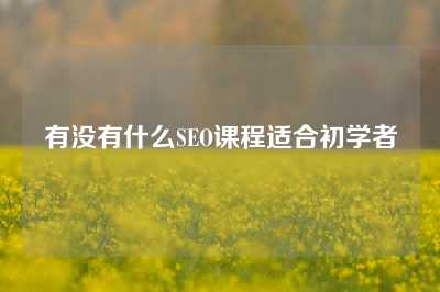 有没有什么SEO课程适合初学者