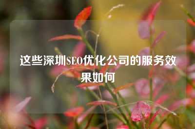 这些深圳SEO优化公司的服务效果如何