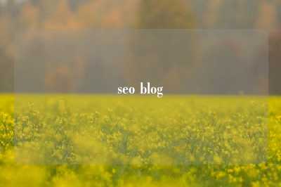 seo blog