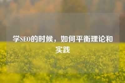 学SEO的时候，如何平衡理论和实践