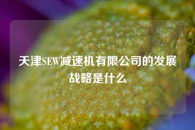 天津SEW减速机有限公司的发展战略是什么