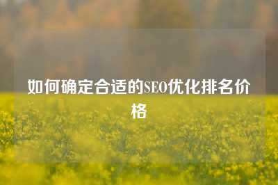 如何确定合适的SEO优化排名价格