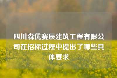 四川森优赛辰建筑工程有限公司在招标过程中提出了哪些具体要求