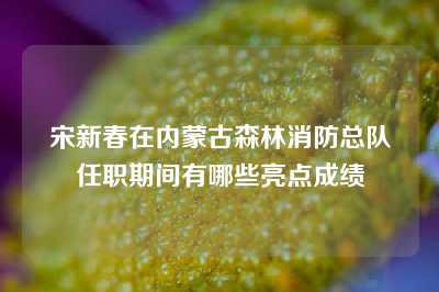 宋新春在内蒙古森林消防总队任职期间有哪些亮点成绩