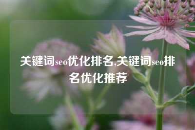 关键词seo优化排名,关键词seo排名优化推荐