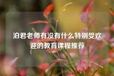 泊君老师有没有什么特别受欢迎的教育课程推荐