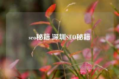 seo秘籍,深圳SEO秘籍