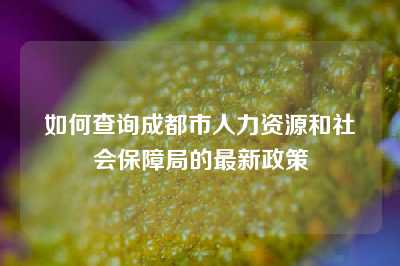 如何查询成都市人力资源和社会保障局的最新政策