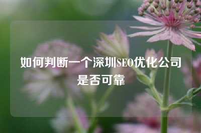 如何判断一个深圳SEO优化公司是否可靠