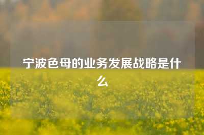 宁波色母的业务发展战略是什么