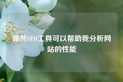 哪些SEO工具可以帮助我分析网站的性能