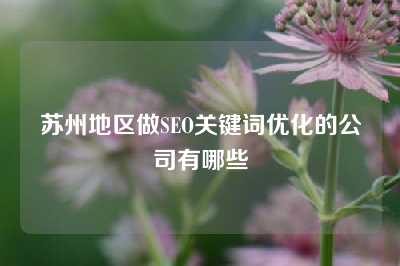 苏州地区做SEO关键词优化的公司有哪些