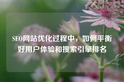 SEO网站优化过程中，如何平衡好用户体验和搜索引擎排名