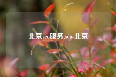 北京seo服务,seo 北京