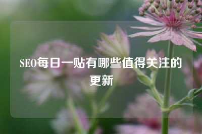 SEO每日一贴有哪些值得关注的更新